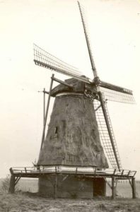 Molen Windesheim 1950